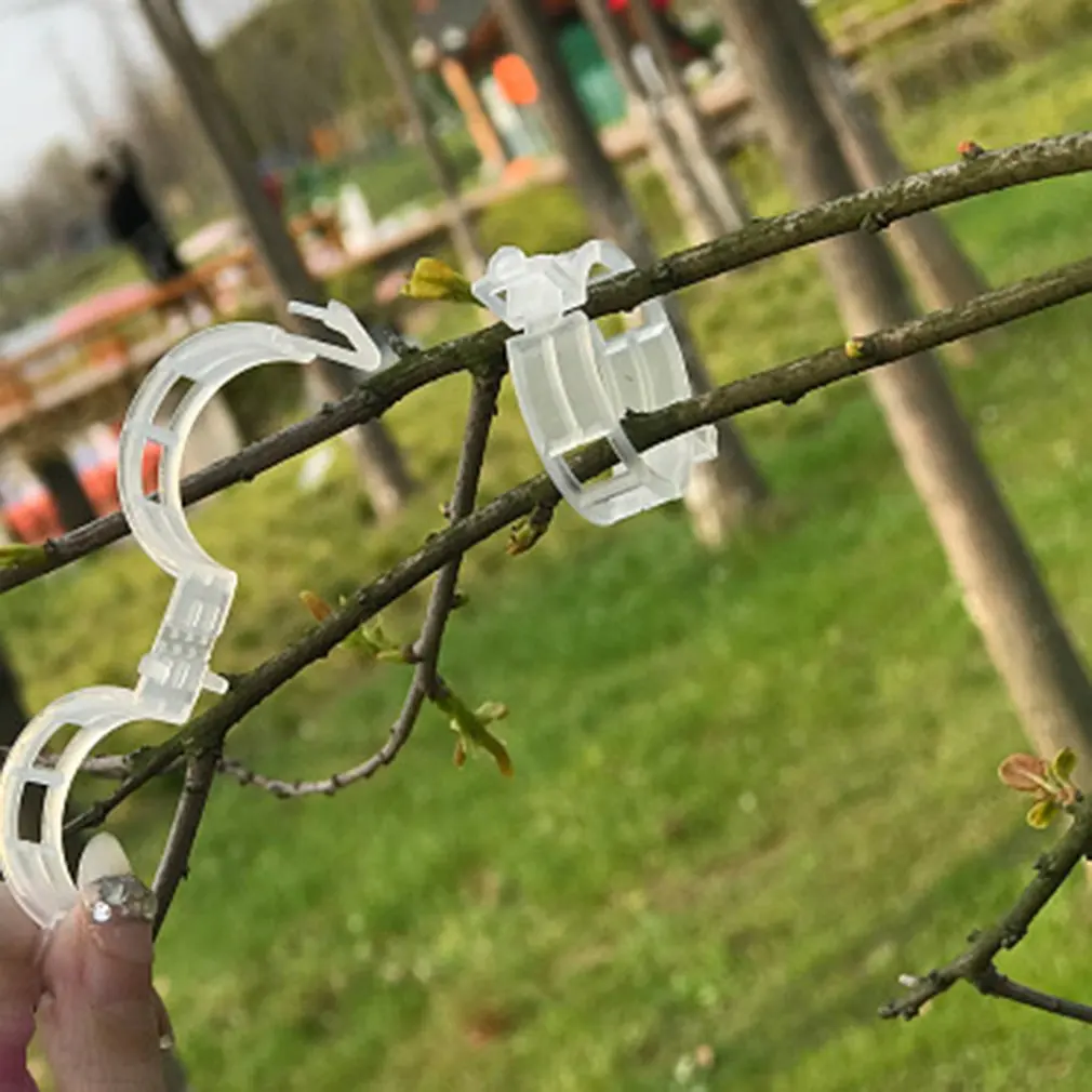 

Vine Fixing Clip Increase Efficiency Tomato Plants Supplies Plastic Clip Watermelon Clip Durable And Lightweight Clip