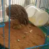 Изображение товара 3