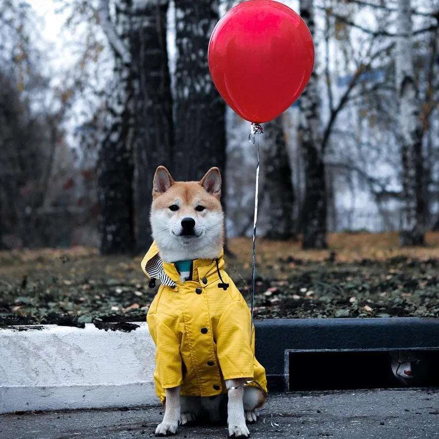 

Dog Raincoat Windproof And Rainproof British Retro Padded Dog Raincoat Pet Jacket Tide Brand Dog Accessories Supplies