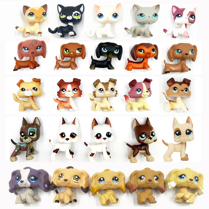 Настоящий магазин домашних животных милые игрушки стоят маленькие короткие