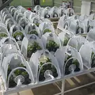 Садовая теплица, портативная складная прозрачная мини-теплица, изоляционный сарай для растений, садовый навес из ПВХ для теплой комнаты с рамкой