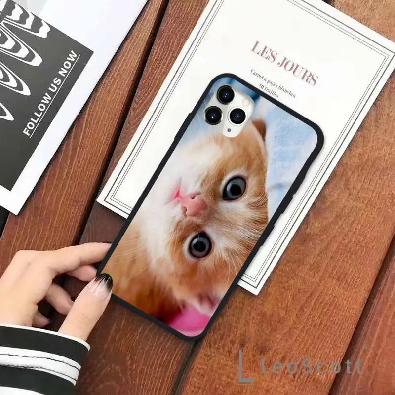 

Lovely animal cat kitten Phone Case for iPhone 11 12 pro XS MAX 8 7 6 6S Plus X 5S SE 2020 XR Soft silicone