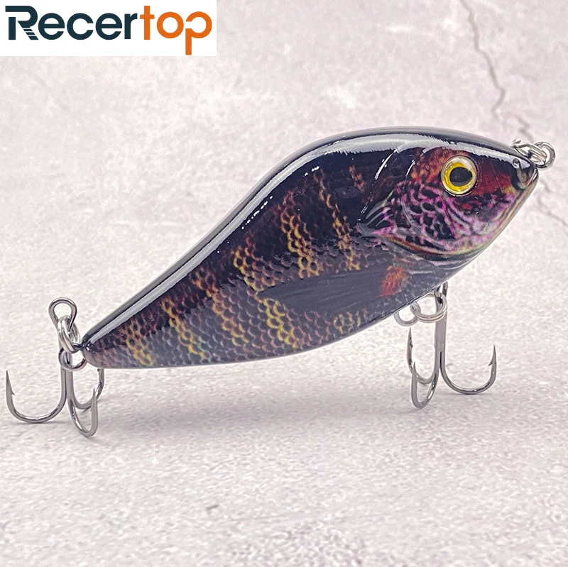 

Recertop 10cm/45g submerged S-type swimming style pike big fish giant special kill JERKBAIT bait sea fishing bait temptation