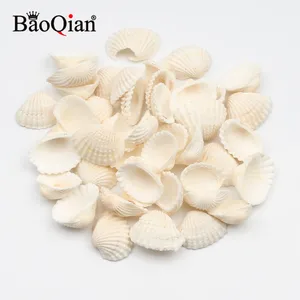 30 шт., 20-30 мм, натуральный морской ракушка, Пляжное украшение, украшение в морском стиле для снежных приправ, Diy украшение для дома