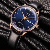 carnival new casual fashion mens luminous waterproof 3d curved high quality leather strap men mechanical watches zegarek m%c4%99ski