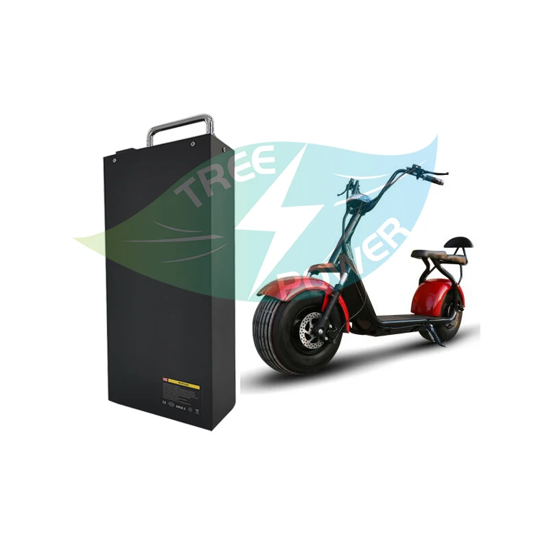 Литий-ионный аккумулятор BMS для скутеров и велосипедов X7 X8 X9 X20harley citycoco 60 В 20 Ач 25 30