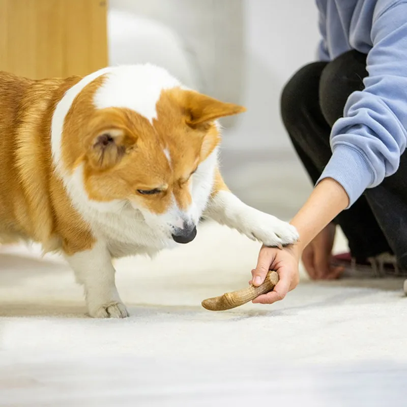 

1 шт. Собака Щенок зубные молярная палочки для чистки зубов Укус устойчивостью молярная палочка собака игрушки для жевания дерево с рисунко...