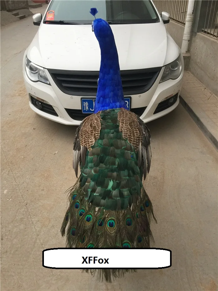 

big new real life colourful peacock model foam&feather large simulation peacock bird gift about 90x80cm d0022