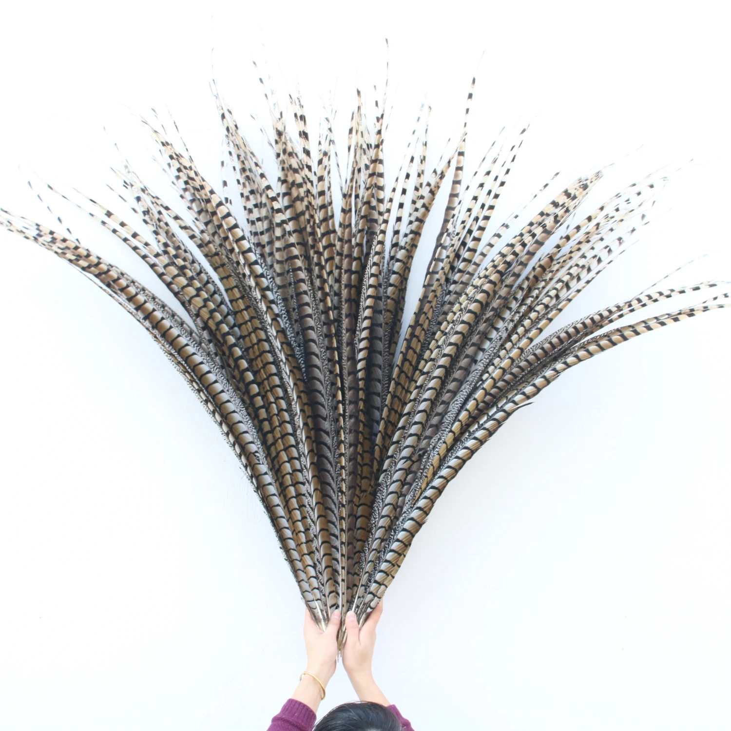 

100pcs / lot natural Lady Amherst Pheasant Tail Feathers 36-40inch 90-100CM DIY party holiday performance decoration plumas