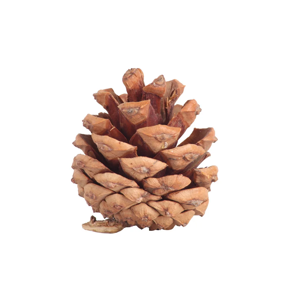 10 шт. натуральные сосновые конусы Pinecone для рождественской елки Декоративная
