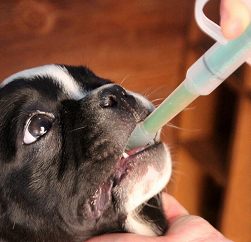 

Pet Cat Puppy Dog Medicine Feeder Treats Given Control Dispenser Pills Capsule Tablet Pusher Feeding Injection Needle Kit