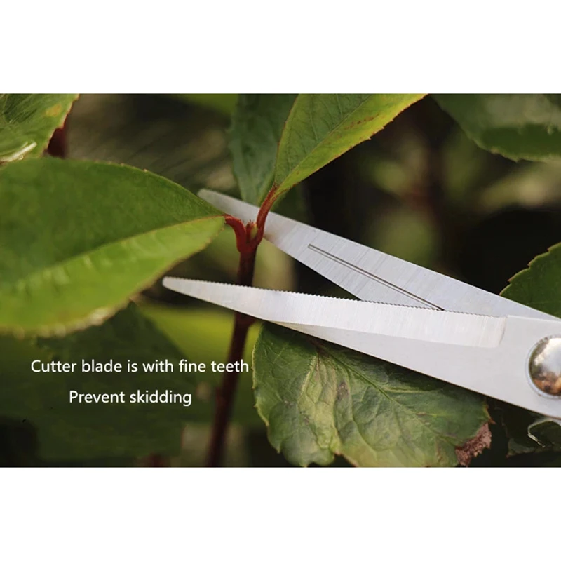 

Stainless Steel Tree Pruning Garden Shears Grass Fruit Cutter Gardening Scissors Branch Pruners DSS899