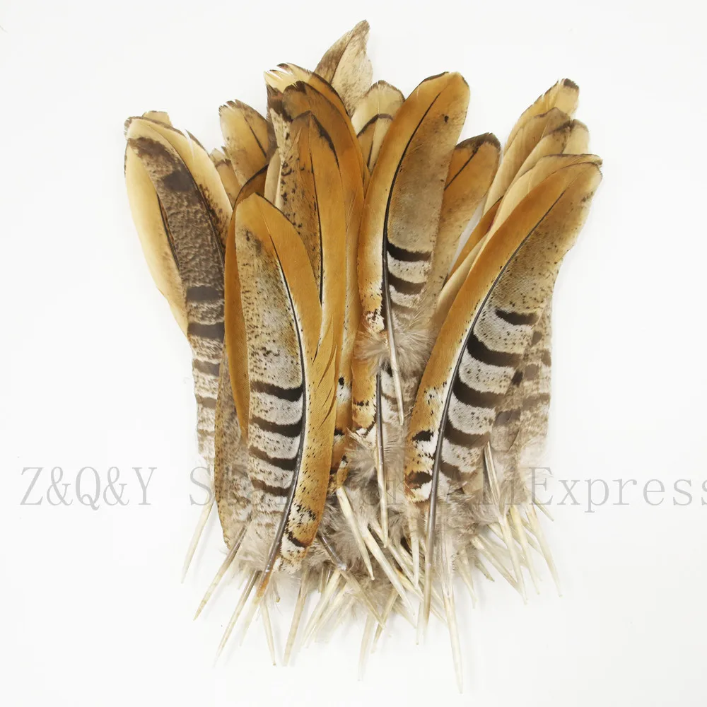 

Natural 15-20CM (6-8 inches) chicken tail feathers 20-50PCS DIY performance clothing home craft accessories decorative feathers