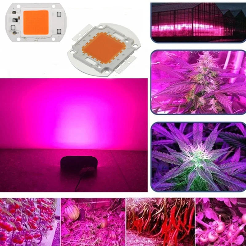 

LED Full Plant Growth Lamp Chip Luminous Efficiency Integrated Lamp Beads AC 220V 20W 30W 50W Plant Lighting