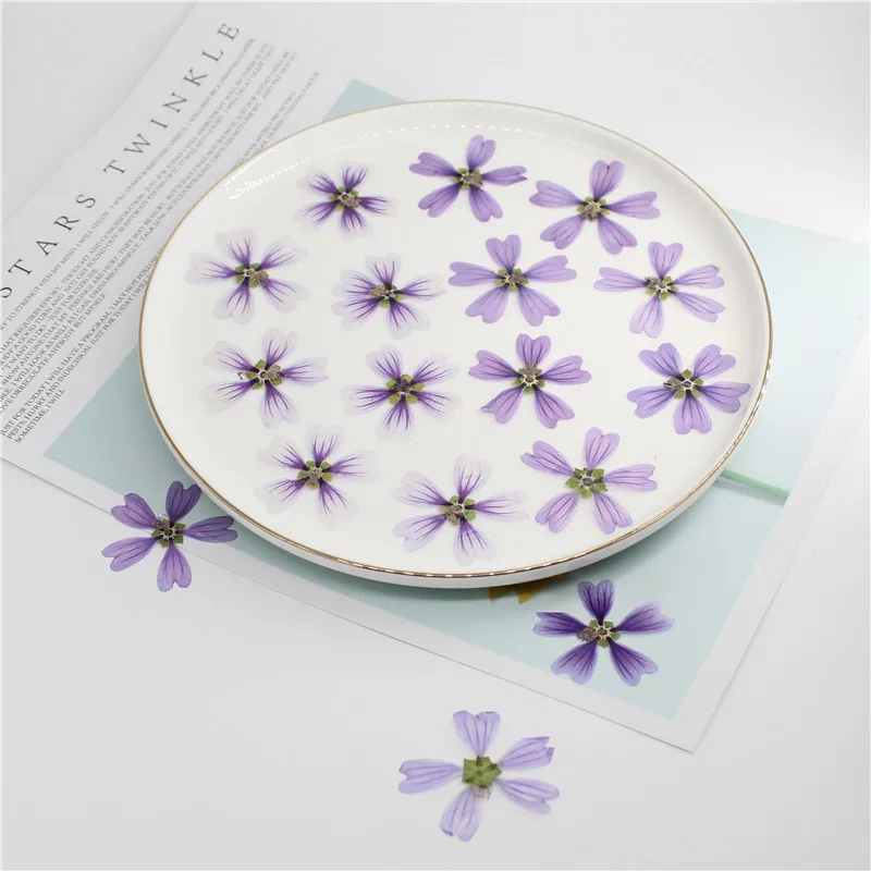 Изучение мальлоу DIY ручной работы клей материал сушеных цветов|Наборы для