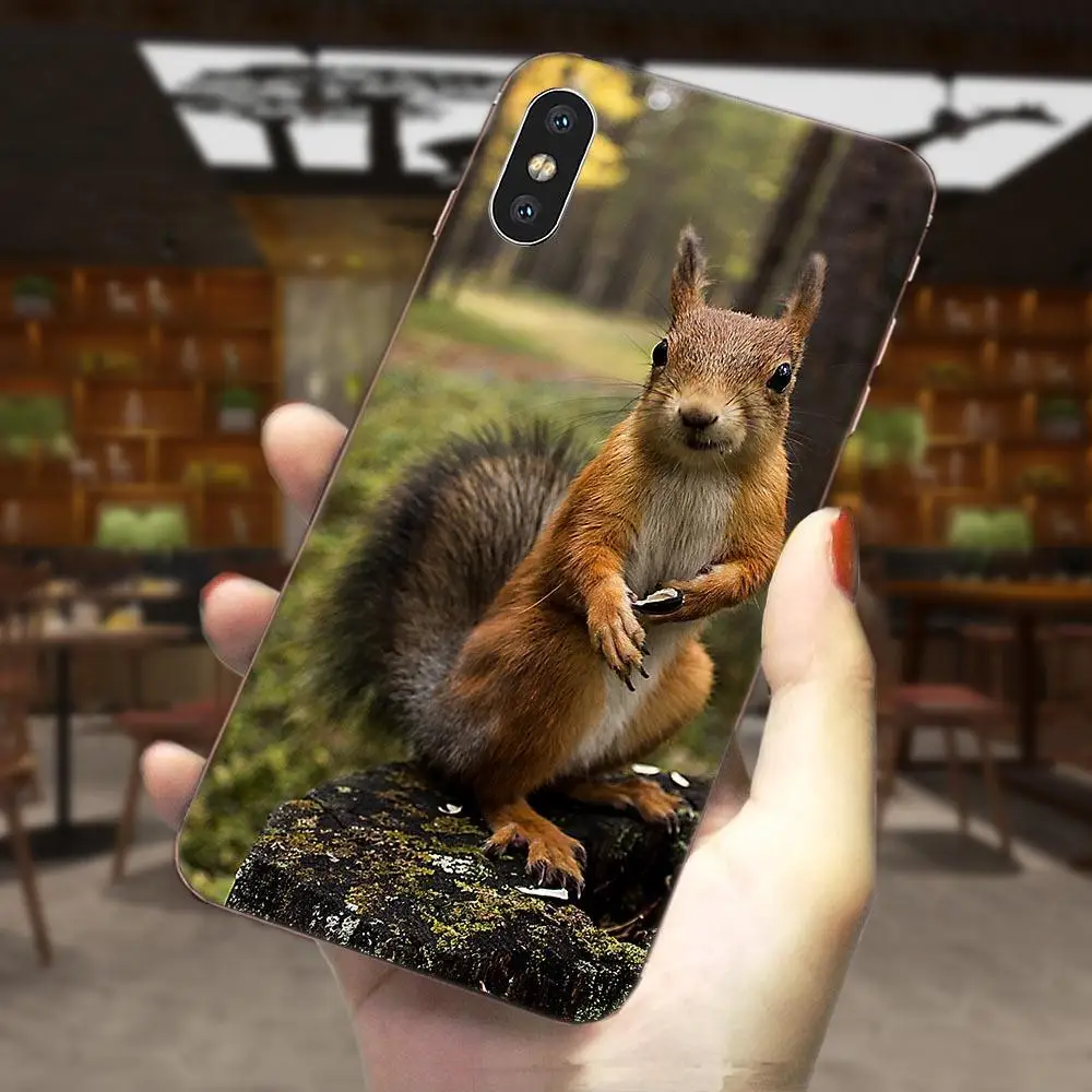 Белка морская свинка мышь арахис искусственная кожа для Galaxy J1 J2 J3 J330 J4 J5 J6 J7 J730 J8 2015