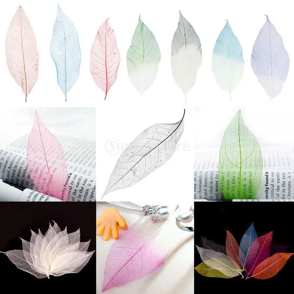 

50Pcs Natural Magnolia Skeleton Leaf Leaves Card Scrapbook - White DIY Scrapbook Decors