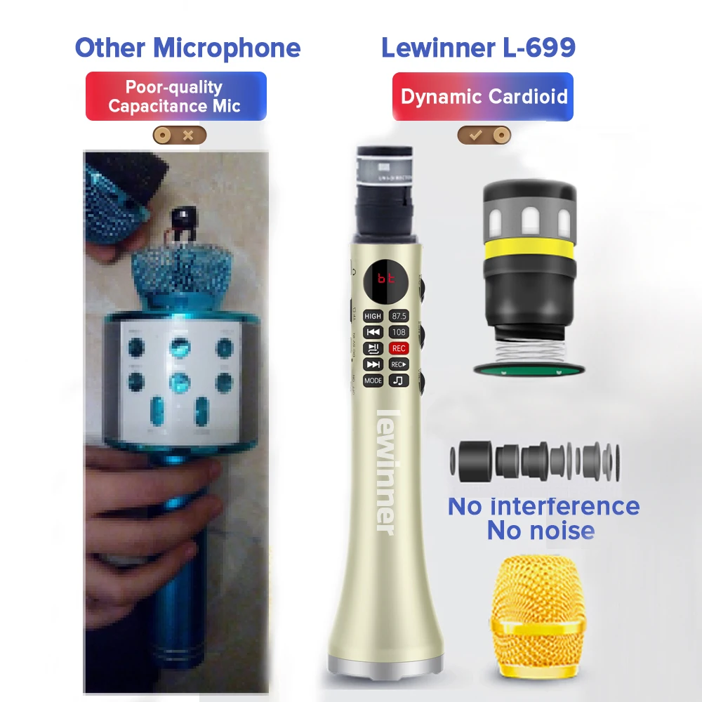 Lewinner L-699 Беспроводной микрофон 20 Вт Bluetooth ручной Портативный для Music