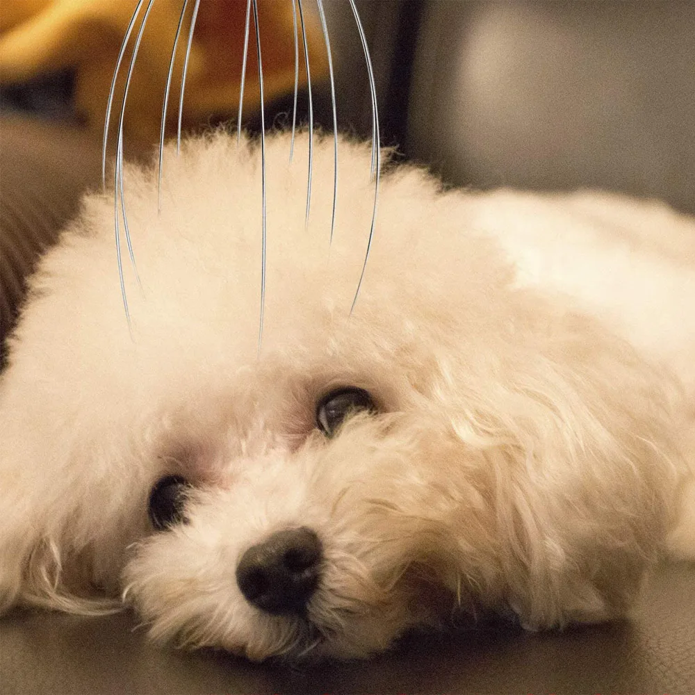 Два переносных массажа для головы инструмент снятия давления и массажер кожи