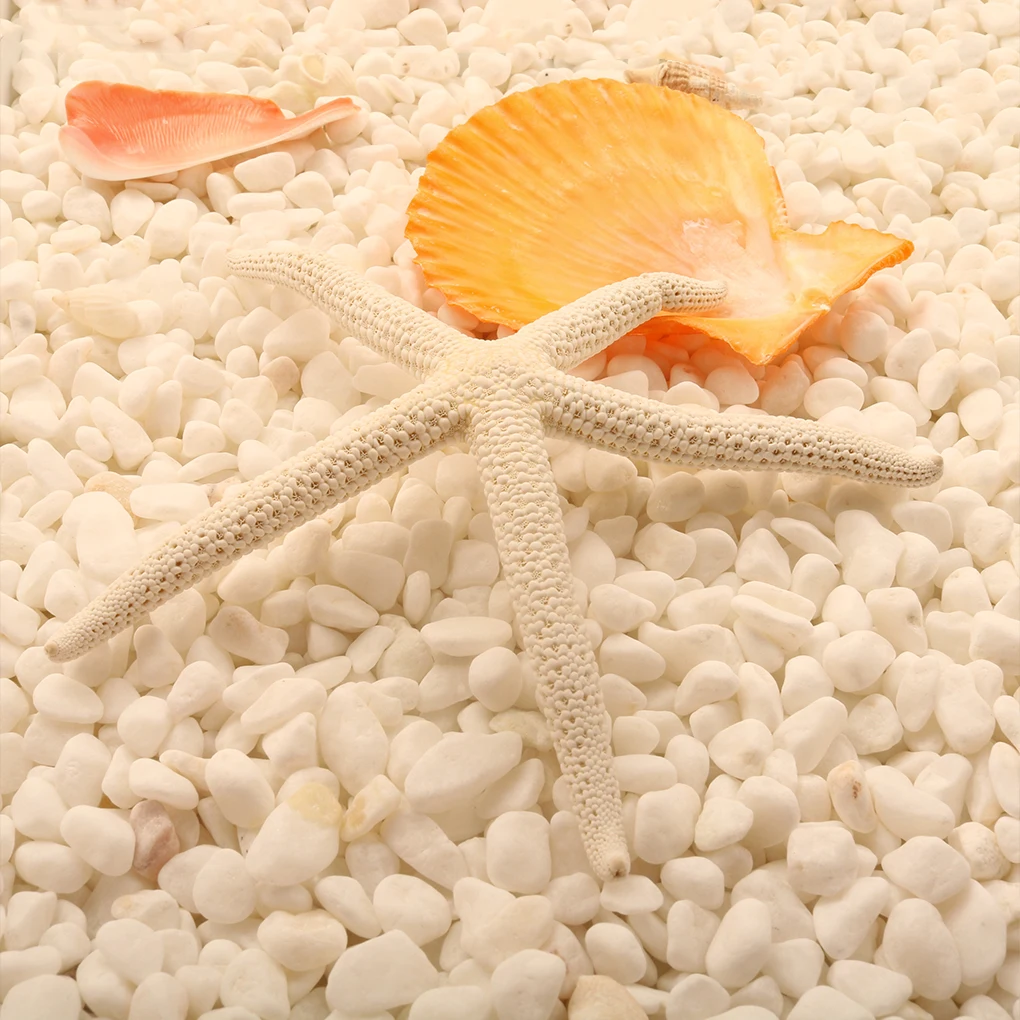 

Natural 5-12cm/10-12cm White Finger Starfish Sea Stylish Home Hair Wedding Decor and Craft Project