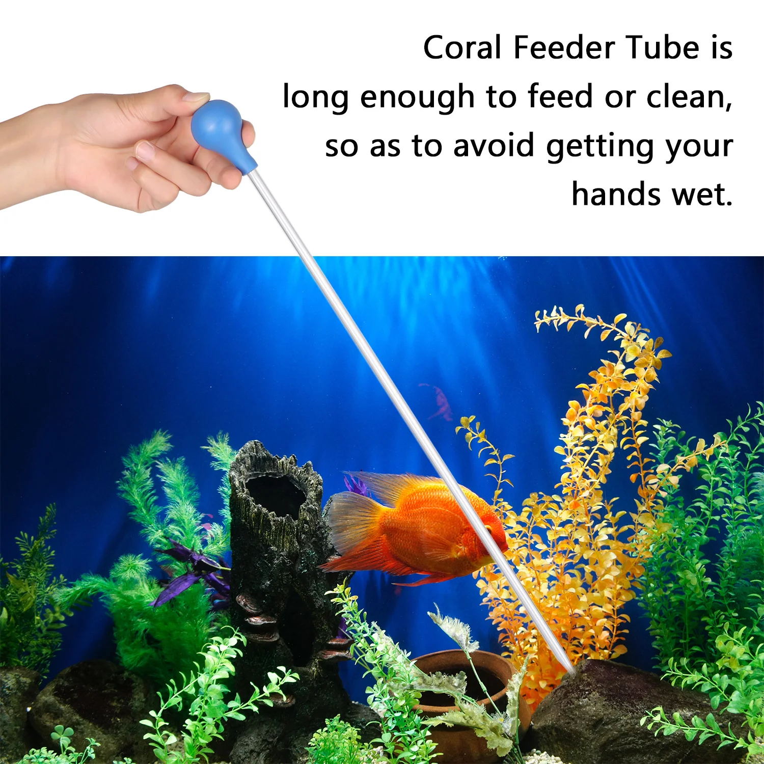 

3 Pieces Stainless Steel Straight and Bend Aquarium Tweezers for Coral/Anemones/ Eels/Lionfish and Other Organisms