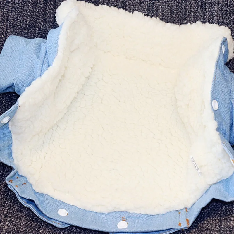 Роскошная зимняя куртка для собак одежда щенков джинсовое пальто джинсовый