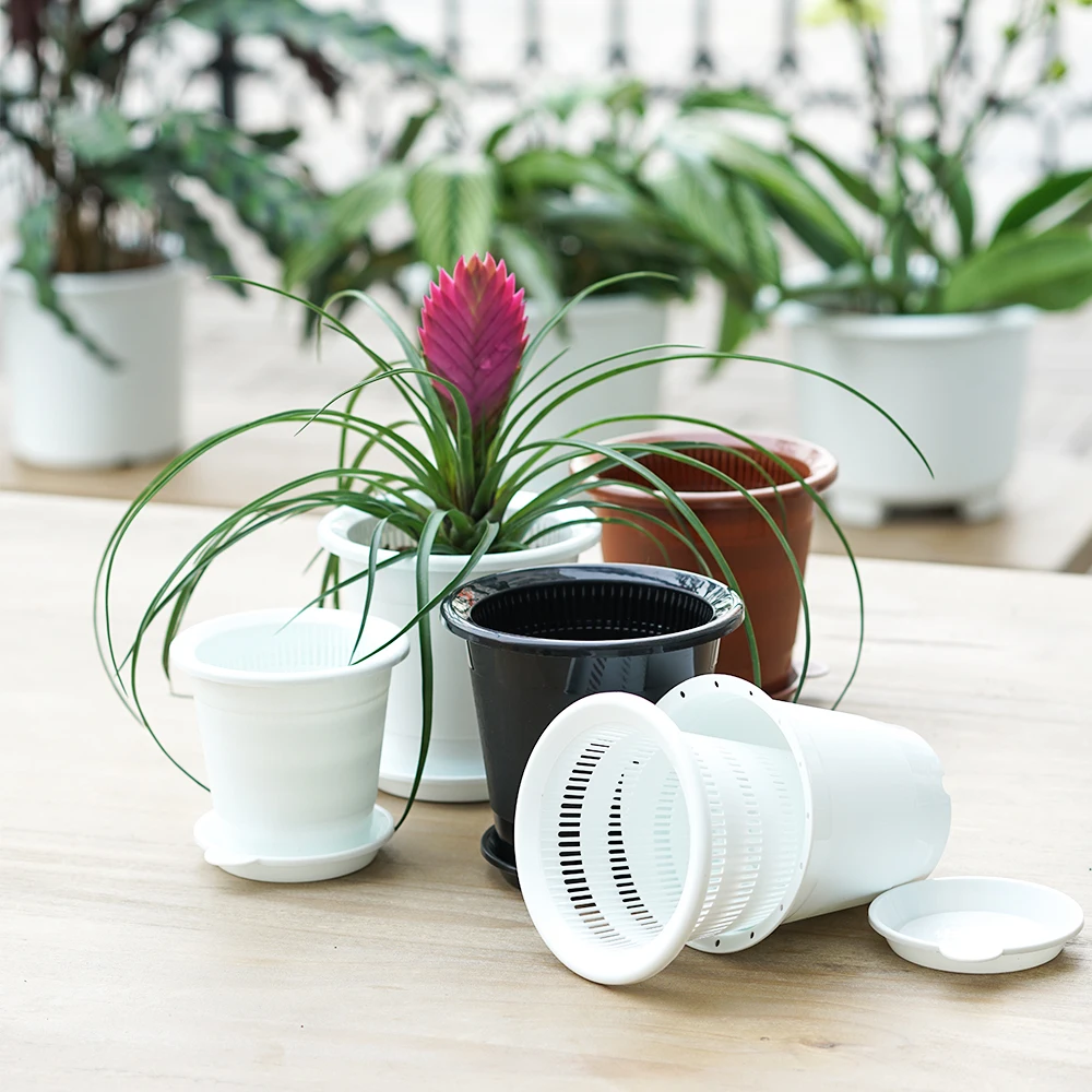 

Meshpot 2 PCS 10 CM Orchid Pot With Holes Plastic Flower Pot Excellent Drainage 2 Inner Pot,2 Outer Pot,2 Tray Included