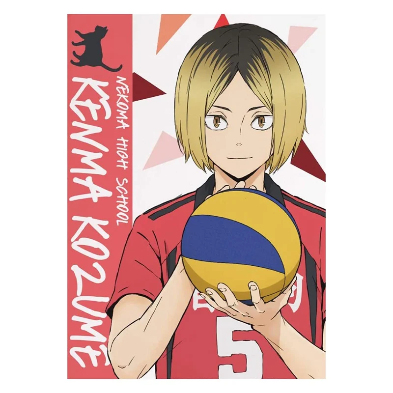 Японское Аниме Haikyuu! Постер Shoyo Hinata бумажная живопись постер для домашней комнаты