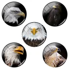 TAFREE 12 мм15 мм16 мм18 мм20 мм25 мм стеклянные кабошоны купольная плоская задняя часть DIY новая Смешанная кожа текстура узор ювелирные изделия TX242