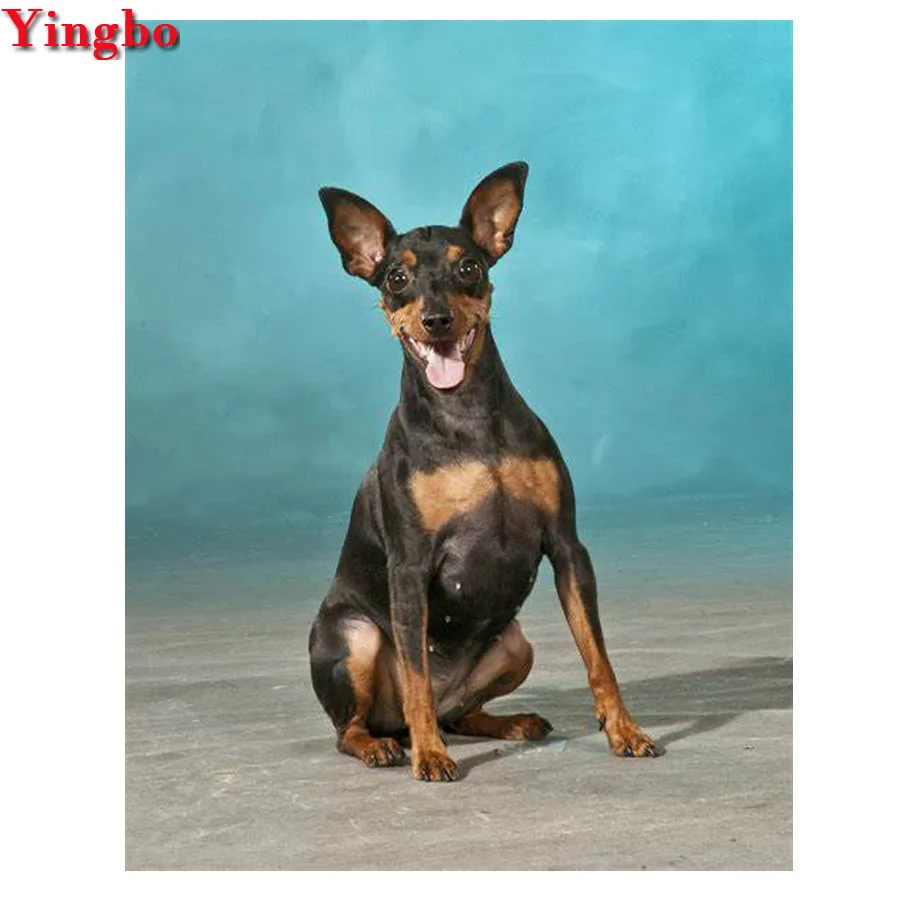 5D алмазная вышивка миниатюрные картины pinscher с собакой из страз