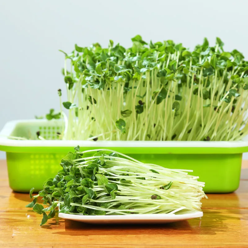 Hydroponics Seedling Tray Sprout Plate System To Grow Nursery Pots Vegetable Pot Plastic | Дом и сад