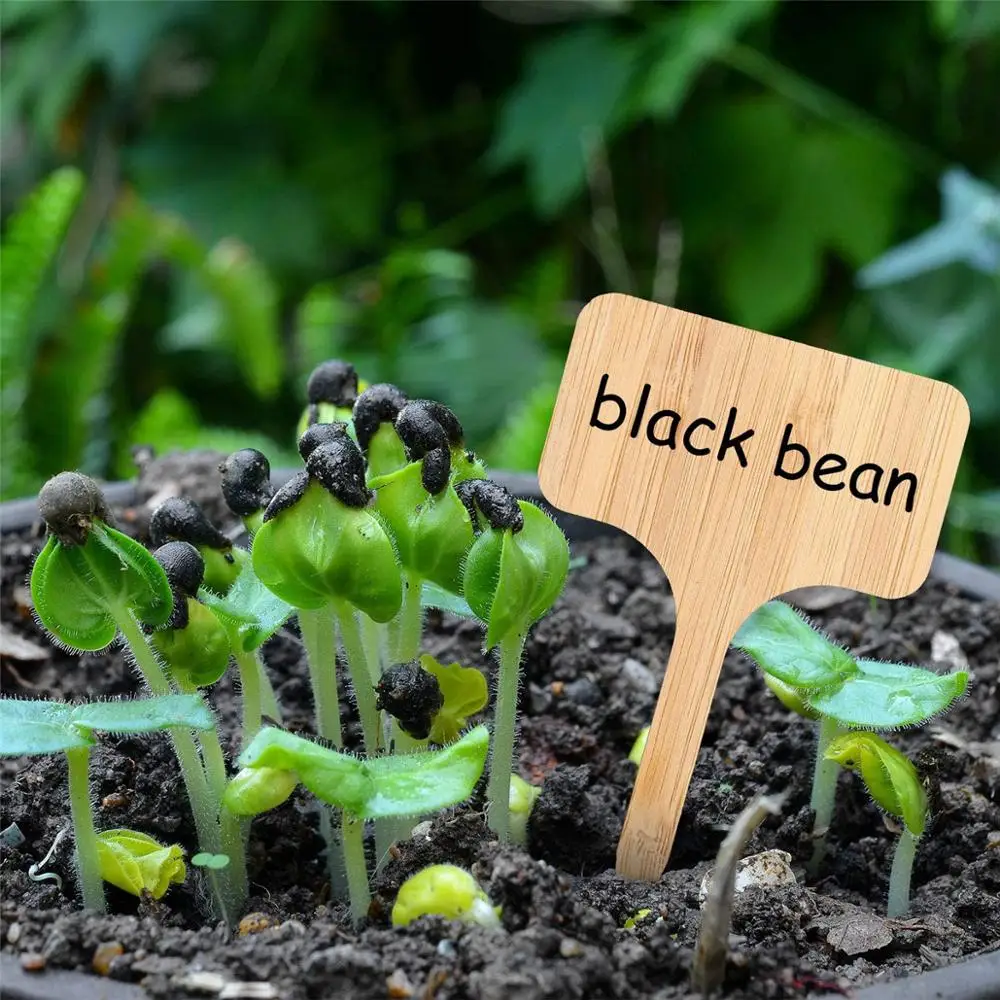Бамбуковые этикетки для растений экологически чистые 6 типов деревянных бирок