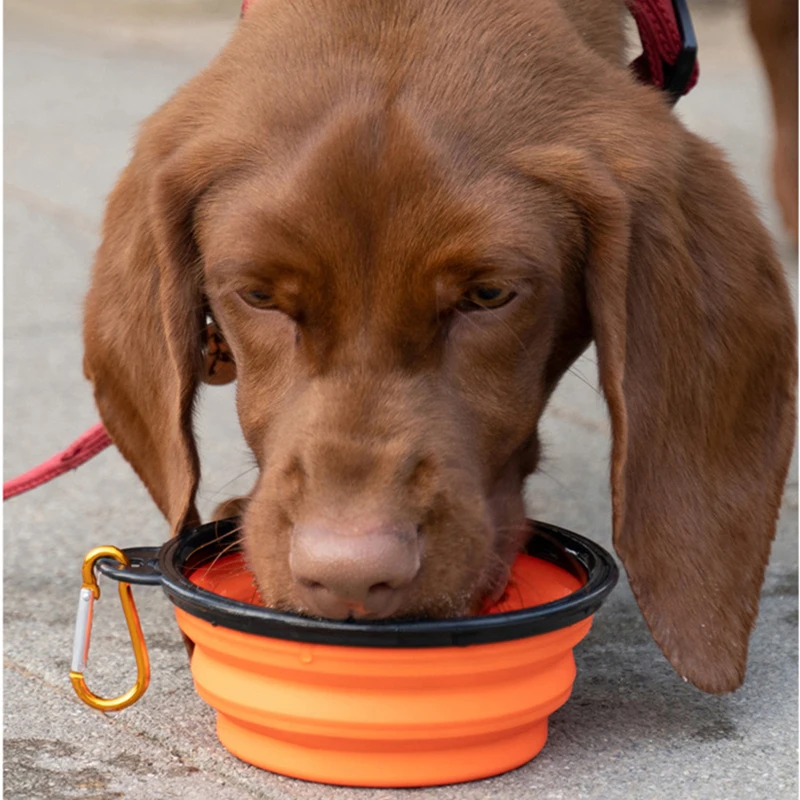 

Collapsible Dog Bowls for Travel Dog Portable Outdoor Water Bowl for Dogs Traveling Camping Walking Pet Feeder Folding Bowl Dish