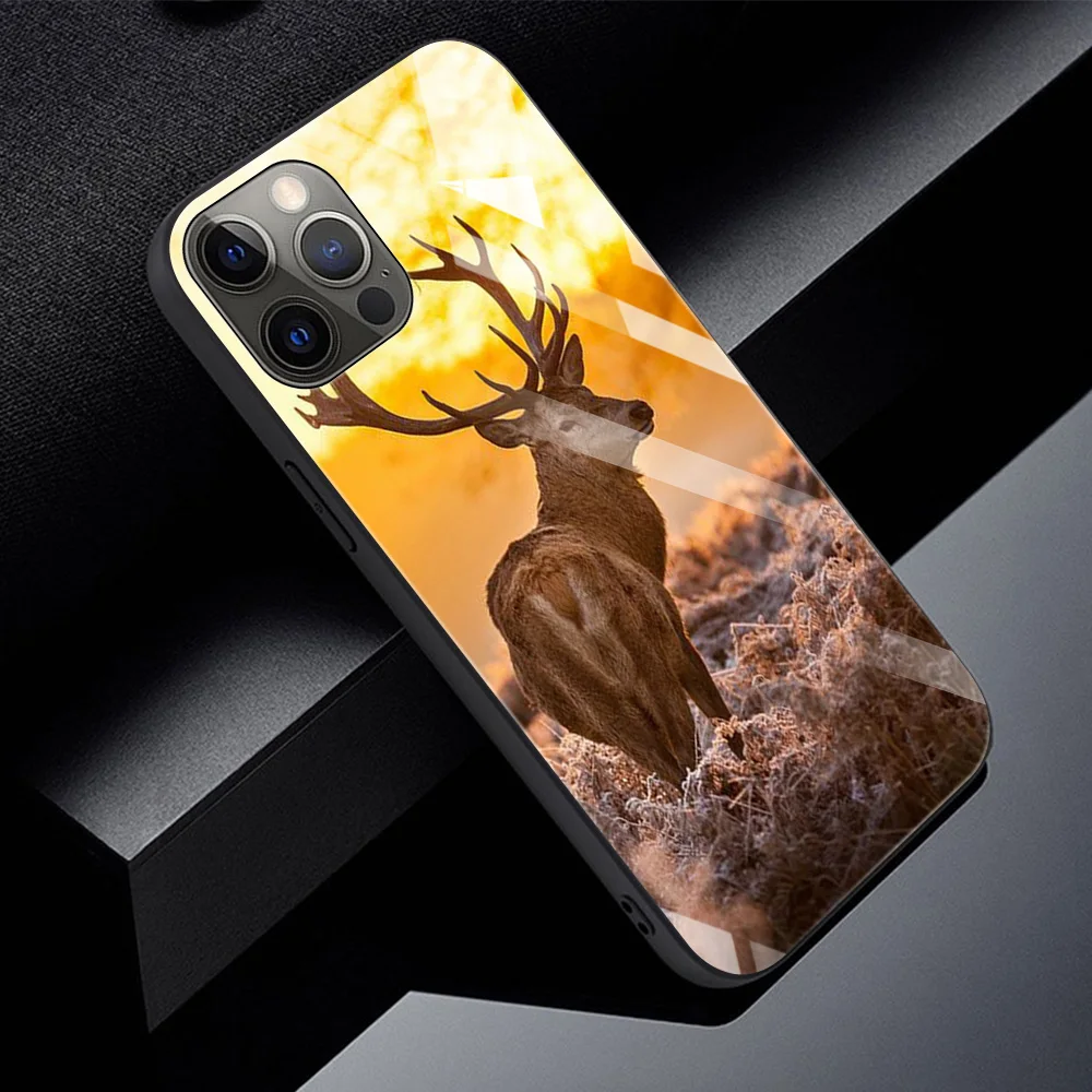 Чехол из закаленного стекла для iPhone 11 12 Pro Max Mini X XS MAX XR 8 7 6s 6 Plus SE 2020 мягкая рамка