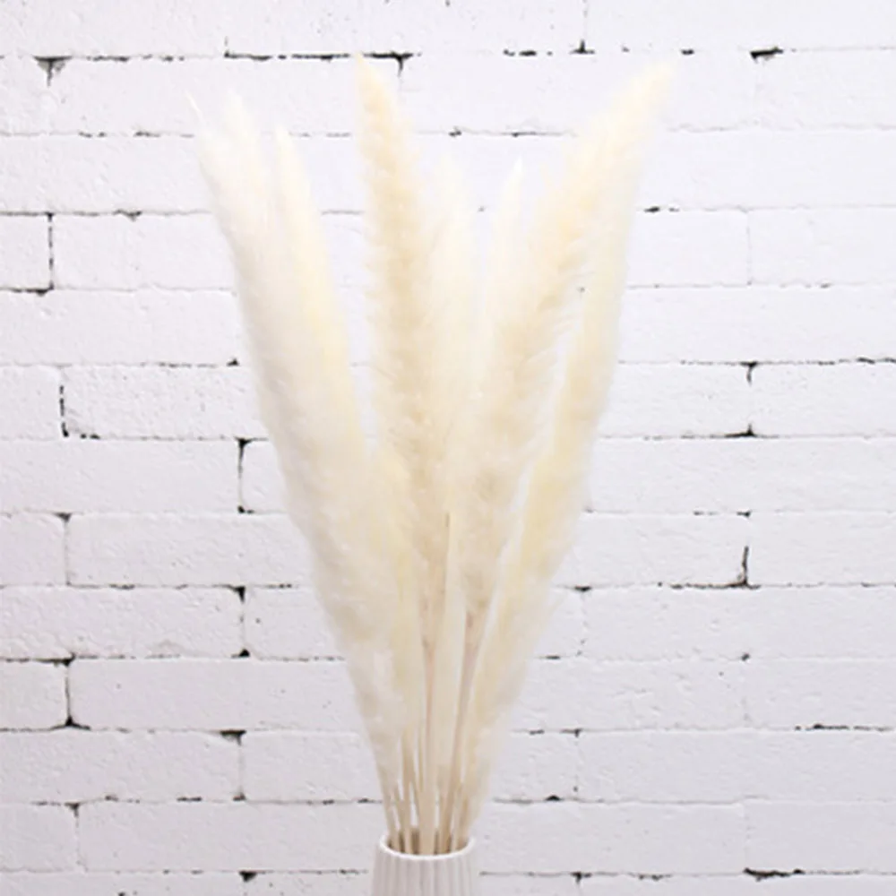 

20pcs High quality wedding flower bunch natural dried small pampas for home decor Beige