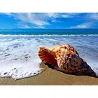 Алмазная 5d-картина раковинный пейзаж с квадратнымикруглыми стразами