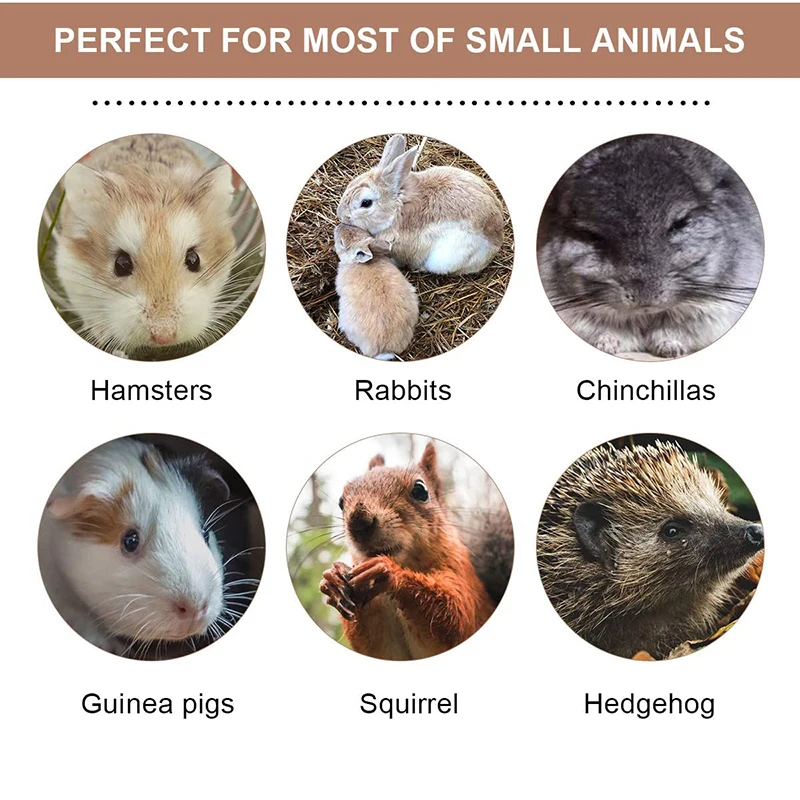 

Dry Apple Branch Pet Molar Sticks Hamster Gnawing Sweet Bamboo Golden Bear Rabbit Grass Stick Snack Molar Stick