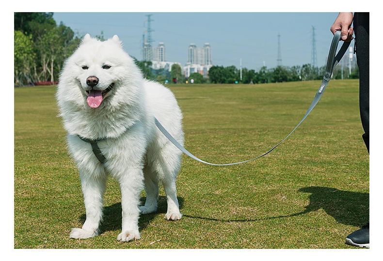 Поводок и поводок для собак TUFFHOUND, нейлоновый быстросъемный ошейник для бульдога, товары для домашних животных, синий, серый свинец