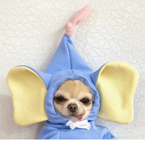 

Dogs, cats, and elephants, small and medium-sized dogs, autumn and winter sweaters,clothing supplies petspets dog clothes winter