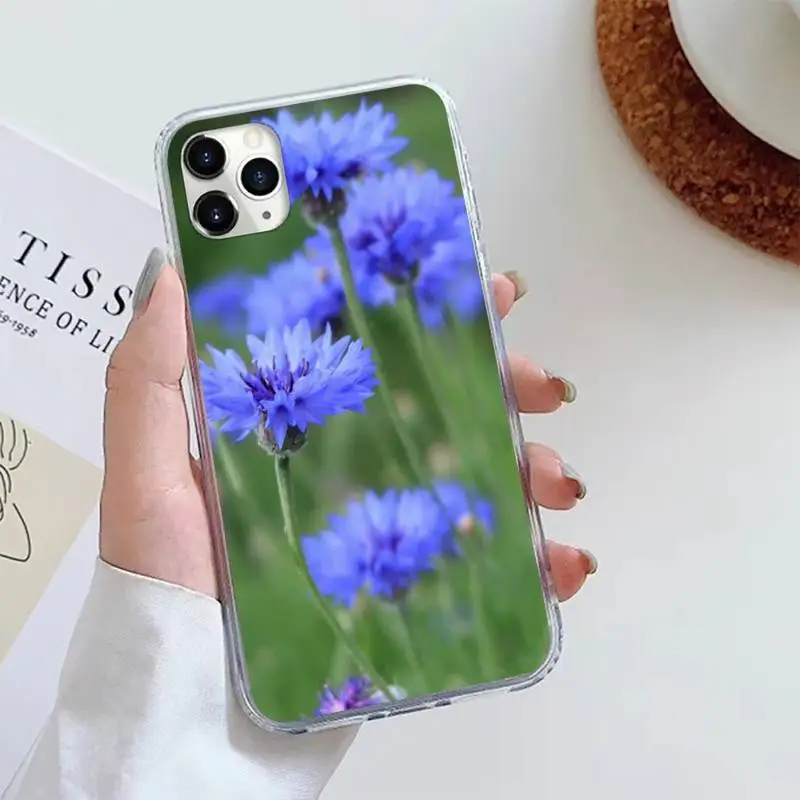 

Cornflower beautiful flower pattern Phone Case For iphone 12 5 5s 5c se 6 6s 7 8 plus x xs xr 11 pro max mini luxury cover funda