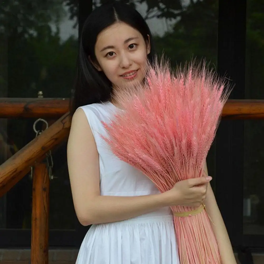 50 шт./лот засушенный натуральный пшеничный карниз сухая трава украшение букетов