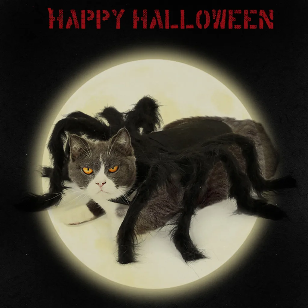 Аксессуары для щенков кошек собак | Дом и сад