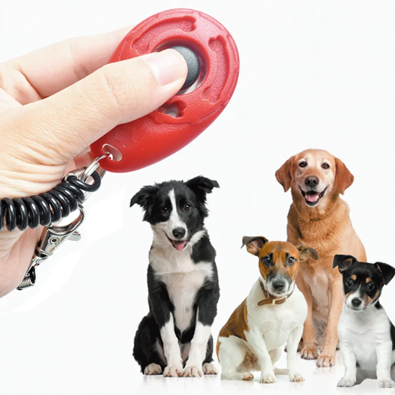 

1 Piece Pet Cat Dog Training Clicker Plastic New Dogs Click Trainer Aid Too Adjustable Wrist Strap Sound Key Chain Dog Supplies
