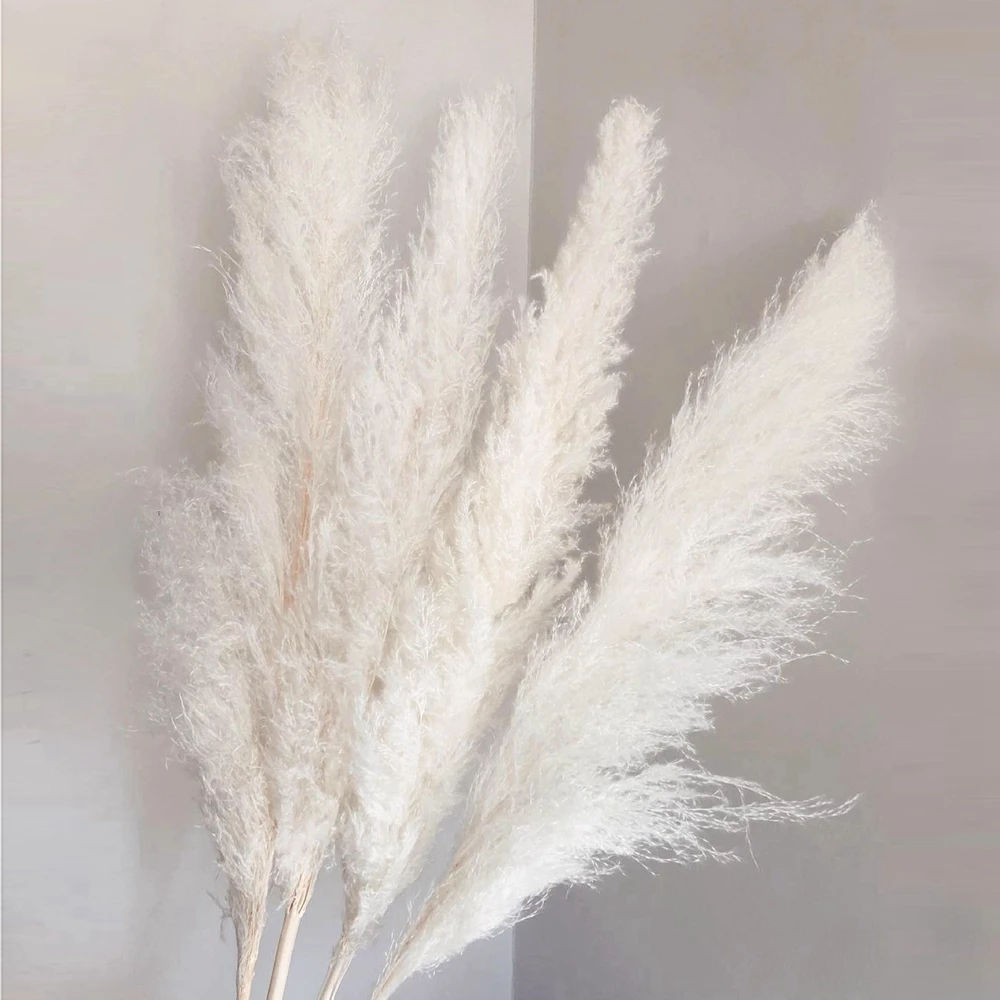 

140CM Natural White Pampas Grass Large Big Real Dried Flowers Bouquet Artificial Plants for Wedding Home Living Room Decoration