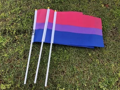 

Женский флаг, размахивающий руками флаг, гей-гордость, 14x21 см, бисексуальные Таны, сексуальные флаги и баннеры с флажками