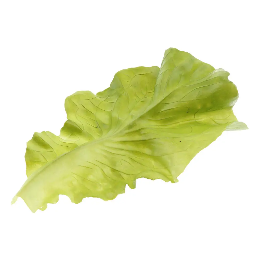 

Fake Faux Vegetable Festival Decoration for Home Kitchen Shop Learning Food Model, Children Kids Pretend Play Toy