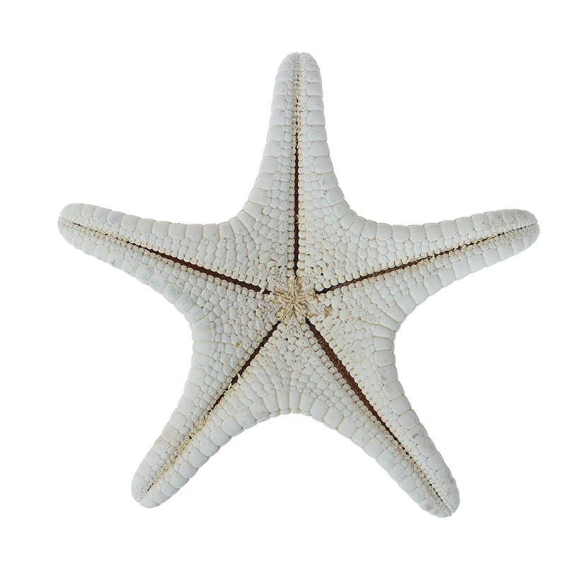 1 шт. белый Морская звезда ремесла украшения палец &quotсделай сам&quot Свадебные в