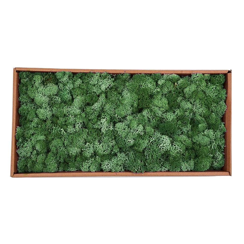 

Artificial Preserved Reindeer Moss for Terrariums Fairy Gardens Arts & Crafts 20 Colors