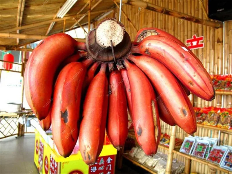 100 шт искусственный банан| |