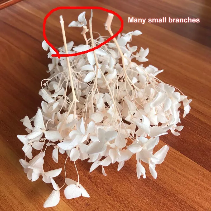 4-4 5 г/лот высококачественные натуральные свежие консервированные цветы сушеные